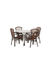 ebuy24 Gartenset Lina 5-teilig Braun 120 x 120 cm