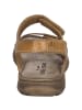 Josef Seibel Sandale Brenda 03 in camel-multi