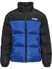 Hummel Hummel Jacke Hmllgc Multisport Herren Wasserdichter in MAZARINE BLUE