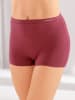 WITT WEIDEN Panty in 2x marine-meliert + 2x dunkelrot-meliert