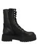 Steve Madden Schnürboots Skywen in schwarz