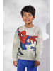 Coccodrillo Trainingsjacke in grau