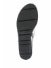 Accatino Stiefeletten/Boot in schwarz
