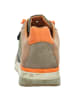 Cetti Sneaker Low in grün