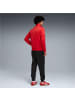 Puma Sportanzug / Freizeitanzug in Rot