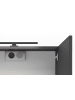 byLiving Spiegelschrank SPREE in anthrazit - B 60, H 60, T 20 cm