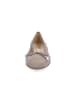 ara Ballerina in taupe Samt