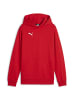 Puma Sweatshirt teamGOAL Casuals Hoody Jr in rot