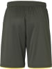 uhlsport  Sportshorts "Club Shorts" in Grün