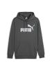 Puma Sweatshirt in Grau