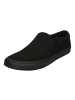 Vans Sneaker Low Asher in schwarz