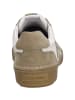 Josef Seibel Sneaker Claire 27 in beige