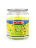 Haribo Haribo™ Duftkerze "Coconut Lime"