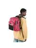 Eastpak Pinnacle Daypack 42 cm in brize pink beige