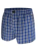 green panther Webboxershorts 3er Pack in Blau / Karo