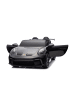 Wisam® DK-P911 Porsche GT3, lackiertes, batteriebetriebenes