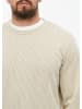 s.Oliver Sweatshirt in 93G3_beige