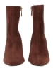 Steve Madden Stiefelette WILLAH Braun