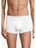 Seidensticker Retro Short / Pant Cotton Flex in Weiß