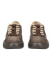 BLAUER USA Sneaker in Dunkelbraun