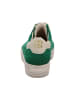 Paul Green Sneaker in grün
