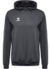 Hummel Hoodie "Hmlauthentic Pl Hoodie" in Grau