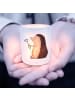 Mr. & Mrs. Panda Teelichthalter Glas Igel Blumen ohne Spruch in Transparent