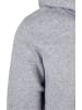 STARTER Kapuzenpullover in heather grey