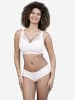 SugarShape Panty PUREBASIC in powder
