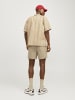 Jack & Jones Shorts in Greige 1