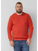 s.Oliver Strickpullover in 34W0_rot