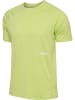 Hummel T-Shirt Hmlpulse Herren in SHADOW LIME