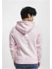  Cayler & Sons Sweat & Fleece - Hoody in pale pink/mc