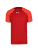 Nike Performance Trainingsshirt Academy Pro in rot / dunkelrot