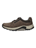 Pius Gabor Sneaker in Mocca