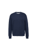 S.OLIVER RED LABEL Sweatshirt in Blau