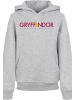 F4NT4STIC Hoodie in heather grey