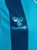 Hummel Hummel T-Shirt Hmlcore Multisport Kinder Atmungsaktiv Schnelltrocknend in BLUE CORAL/BLUE DANUBE