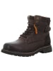 Dockers by Gerli Stiefeletten in braun