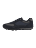 Geox Sneakers Low U Snake 2.0 C in braun