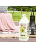 Mr. & Mrs. Panda Windlicht Avocado Party Zeit mit Spruch in Transparent