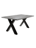 58 aufm Kessel ESSZIMMERTISCH Eike 8 200 x 100 x 75 Esstisch Schwarzstahl/Beton