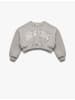 KOTON SWEATSHIRTS in Grau