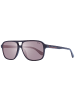 BMW Männer Sonnenbrille Flieger Burgundisch