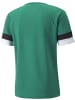 Puma Sportshirt "TeamRISE Jersey" in Grün