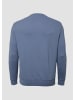 s.Oliver Sweatshirt in 53D1_blassblau