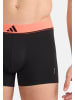 Adidas Sportswear Retro Short / Pant Active Micro Flex in Dunkelblau / dunkelrot