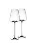 ZIEHER 2er Set Weingläser + Deckel Vision Straight in 540 ml in transparent