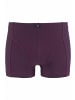 H.I.S Boxer in petrol, grau-meliert, blau, aubergine, grau