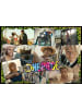Ravensburger Ravensburger Puzzle 1.000 Teile Auf der Suche nach dem One Piece in bunt